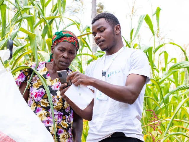 Pula Raises $20 Million in Series B Financing to Support African Farmers