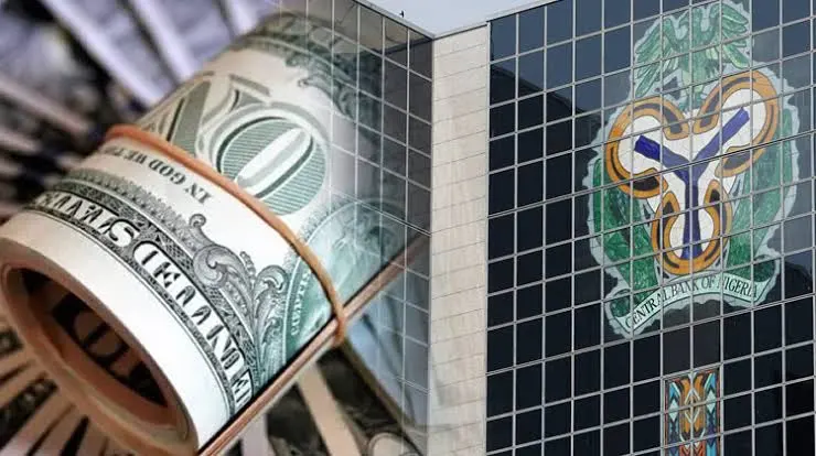 Nigeria’s Remittance Surge: CBN Reports Record $553m Inflows for July 2024